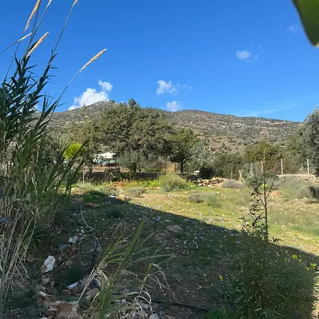 Iasis Platis Gialos (Sifnos)