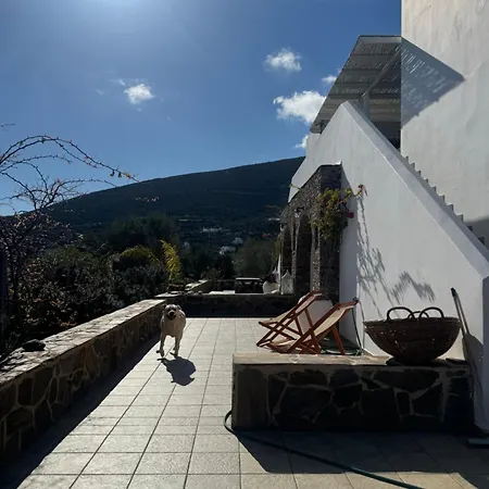 Iasis Platis Gialos (Sifnos)