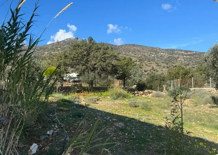 Iasis Platis Gialos (Sifnos)